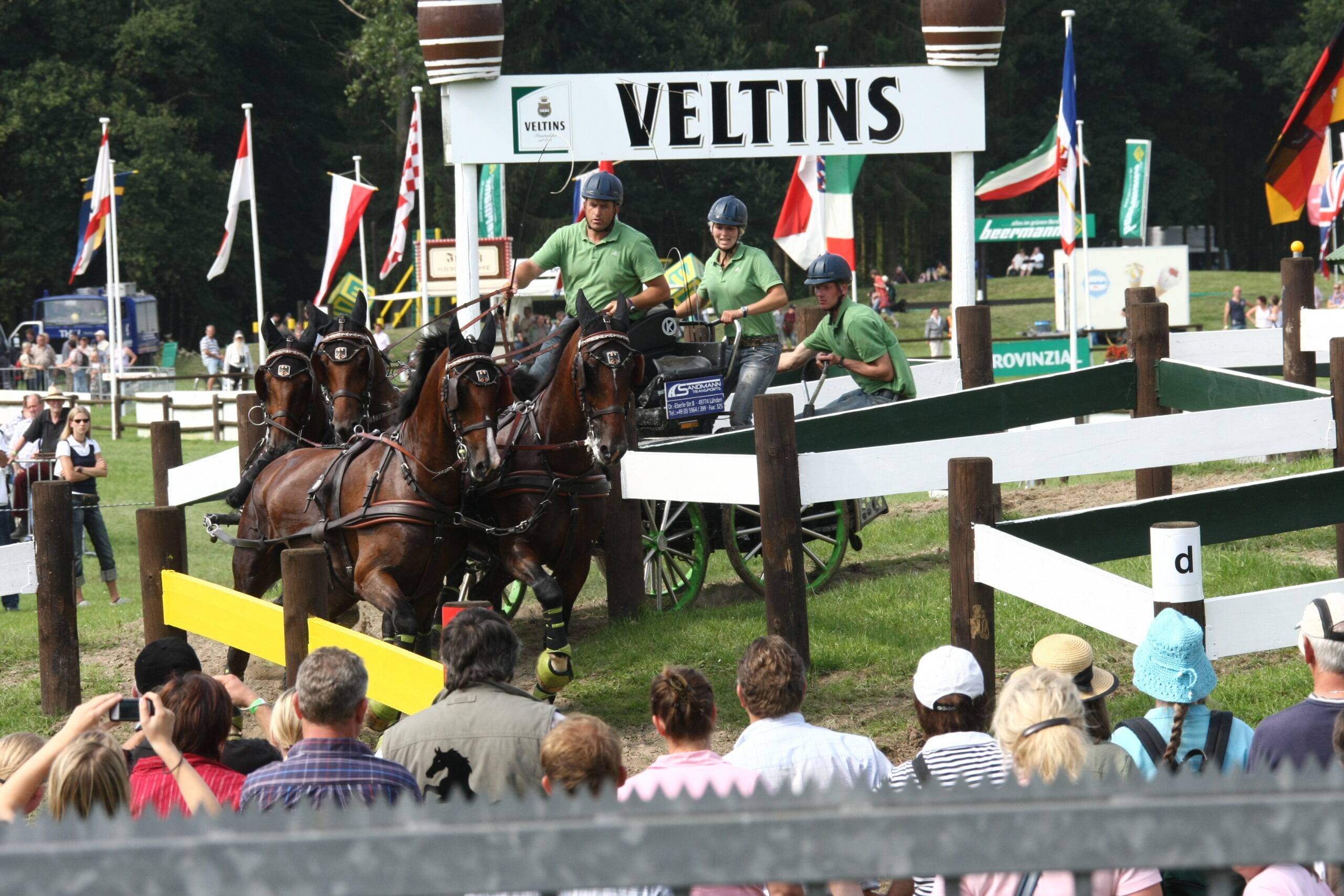 Die VierspännerDM in Riesenbeck Das Tor zu den World Equestrian